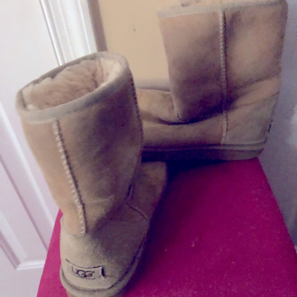Ugg  Australia short booties